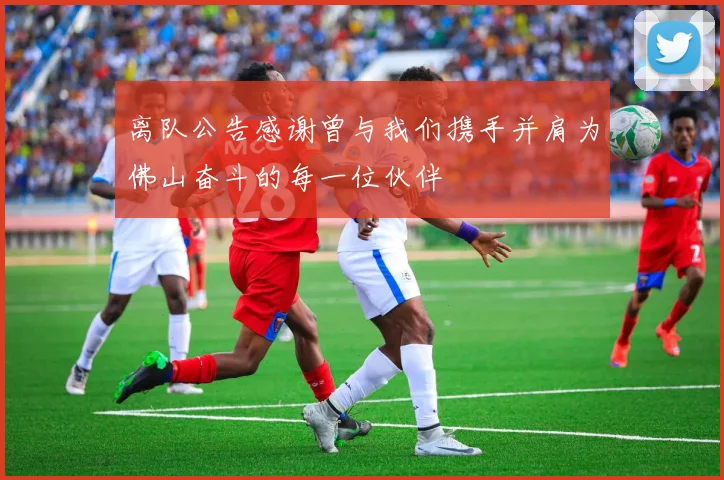 离队公告感谢曾与我们携手并肩为佛山奋斗的每一位伙伴