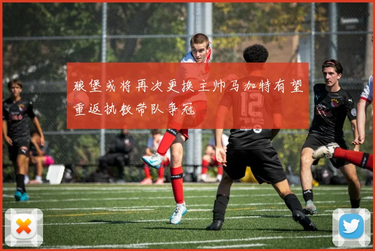 狼堡或将再次更换主帅马加特有望重返执教带队争冠