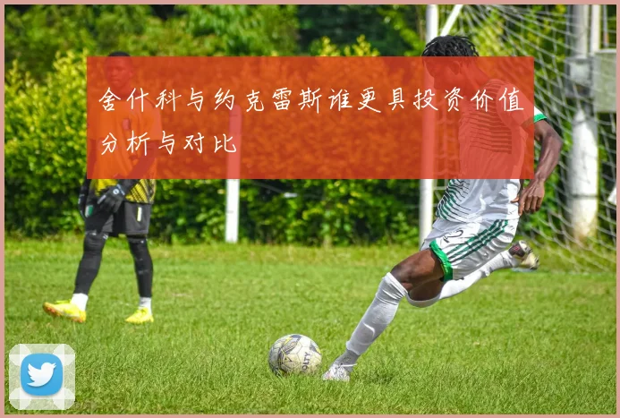 舍什科与约克雷斯谁更具投资价值分析与对比